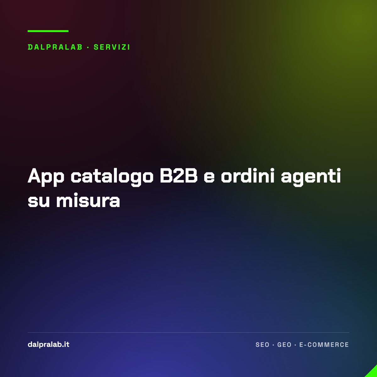 App catalogo B2B e ordini agenti su misura