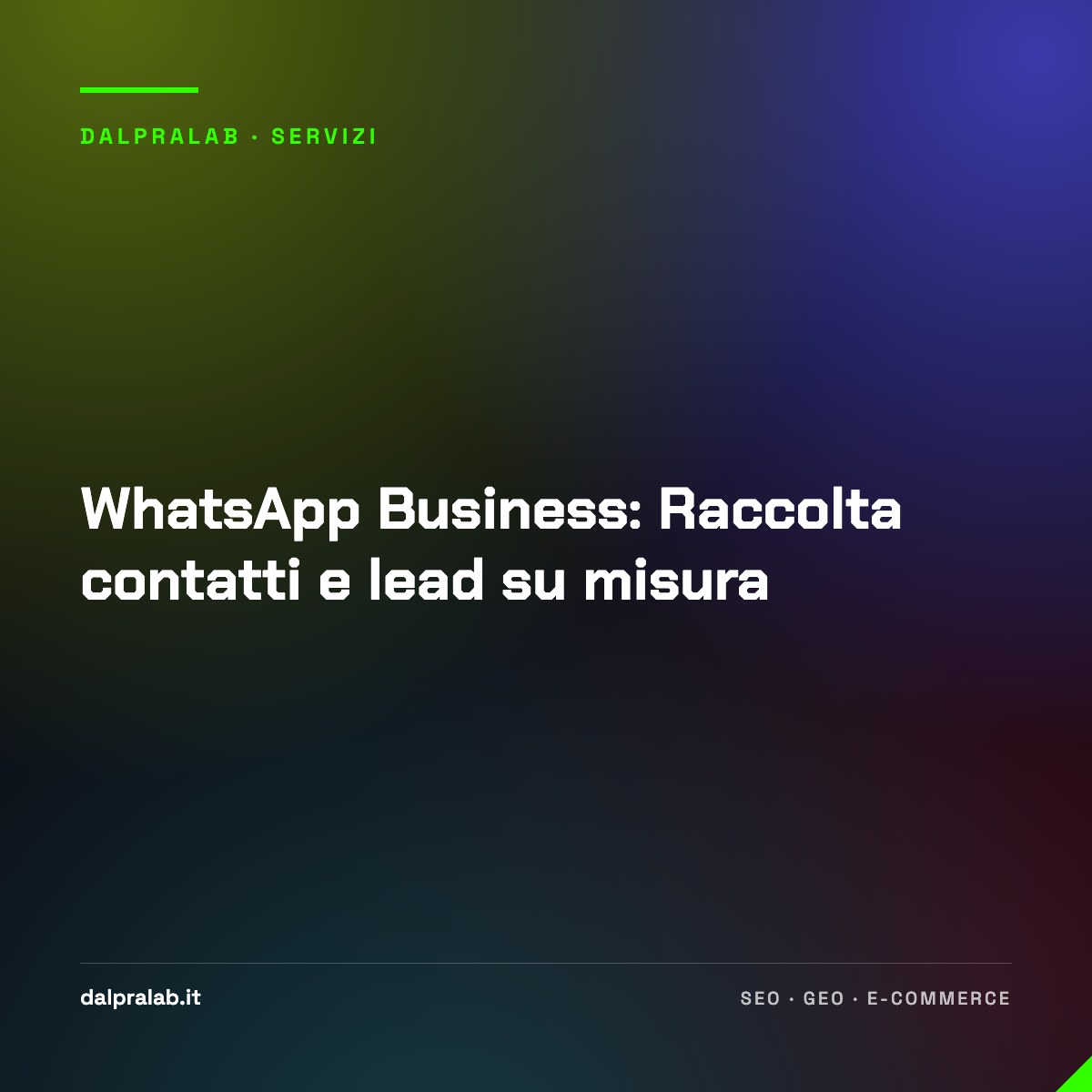 WhatsApp Business: Raccolta contatti e lead su misura